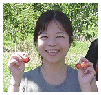  picking cherries 